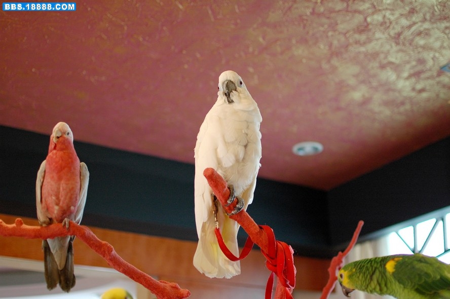 DSC_4408.jpg
