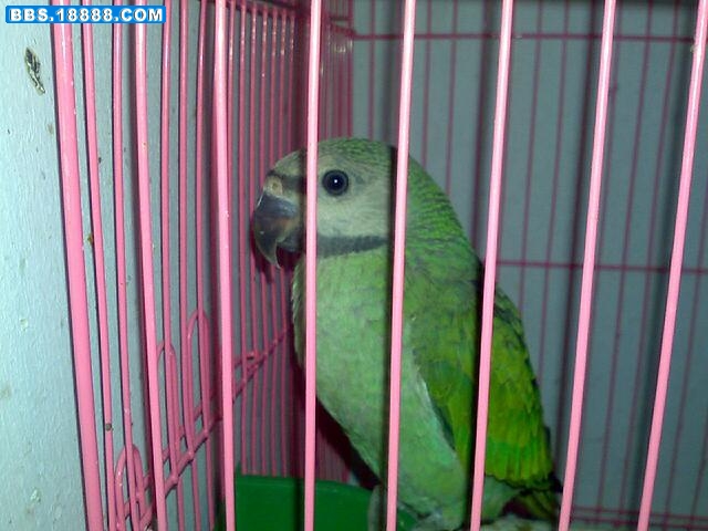 20110711048.jpg