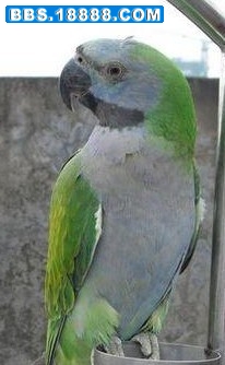 未命名1.jpg