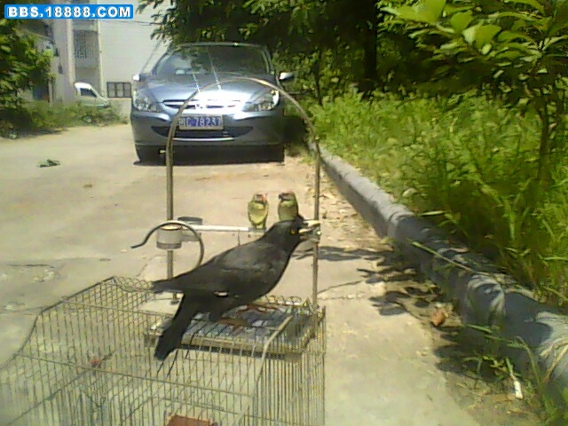 IMG0599A.jpg
