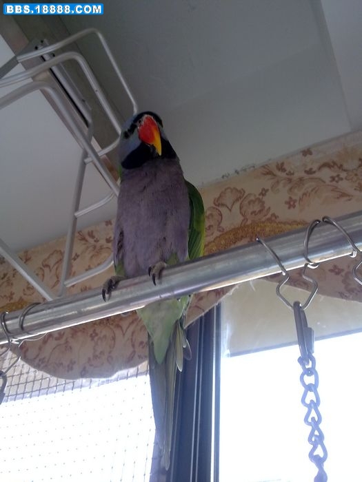 20110709378.jpg