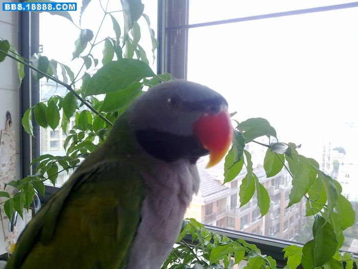 20110709368.jpg