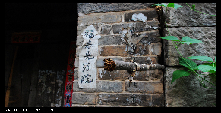 nEO_IMG_DSC_8426.jpg