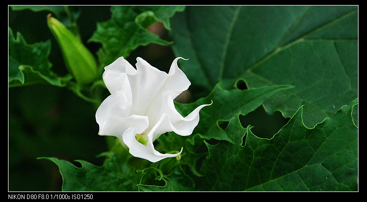 nEO_IMG_DSC_8544.jpg