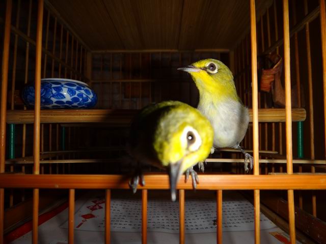 调整大小 DSC00011.JPG
