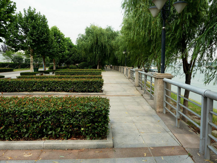 P1040692_1.JPG