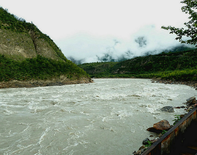 P1010270.JPG