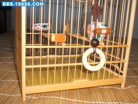 DSCF2349_缩小大小.JPG