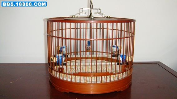 DSC03111_缩小大小.JPG