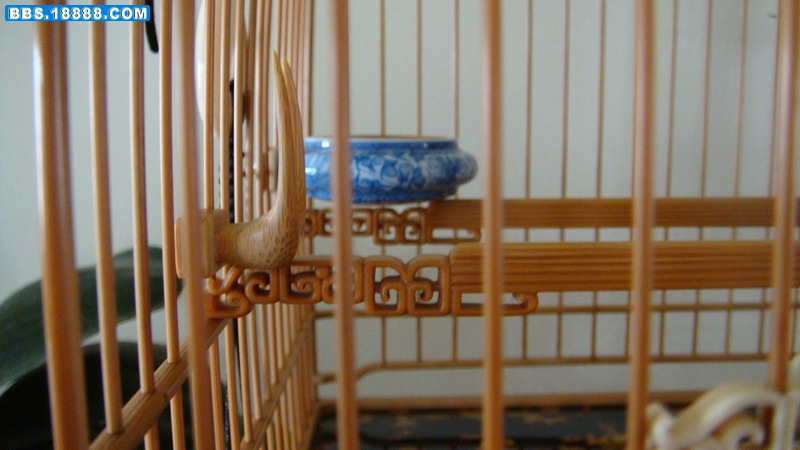 DSC04408_缩小大小.JPG