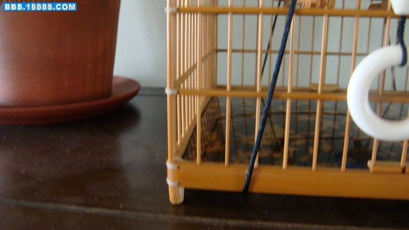 DSC04412_缩小大小.JPG