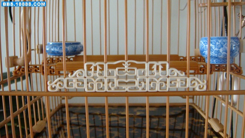 DSC04407_缩小大小.JPG