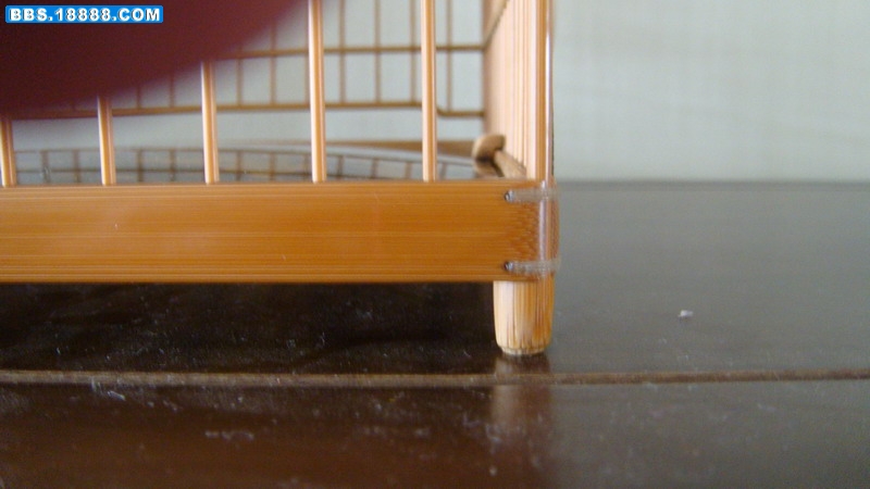 DSC04411_缩小大小.JPG
