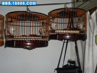 SAM_0279(2)(1).jpg
