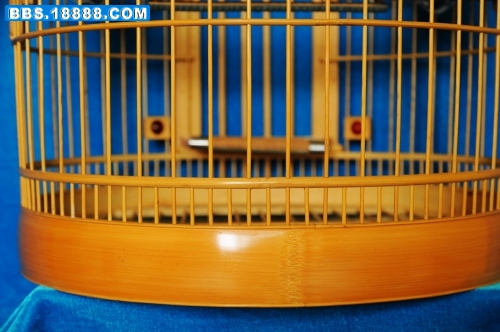 DSC_2228_conew1.jpg
