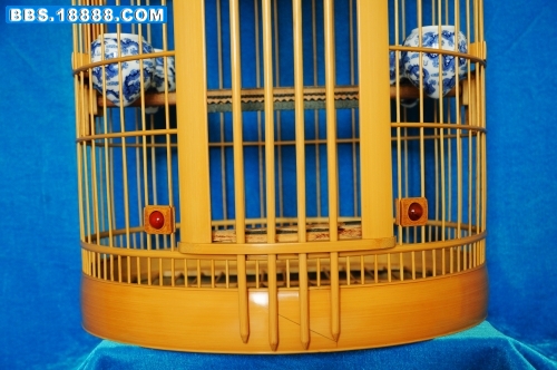 DSC_2226_conew1.jpg