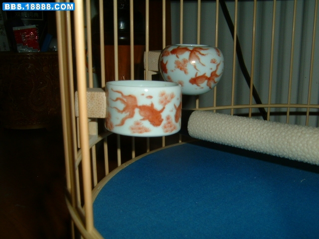 DSCF0035.JPG