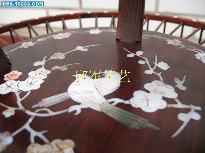 nEO_IMG_董哥 004.jpg