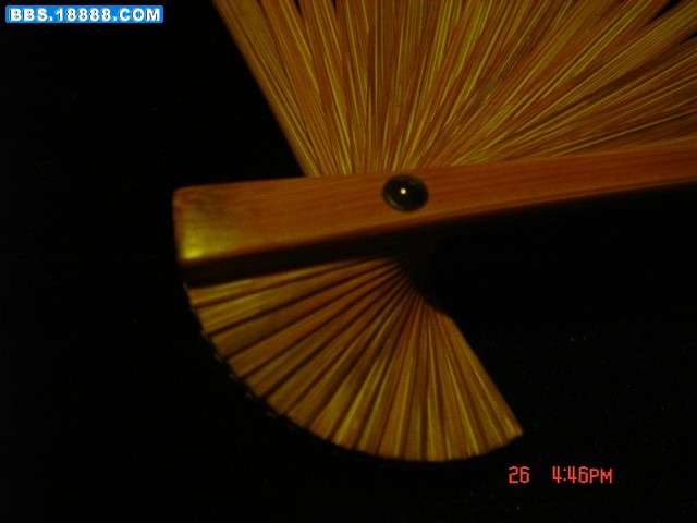 DSC00784.JPG