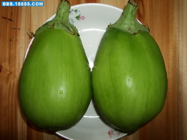 DSCF8025.jpg