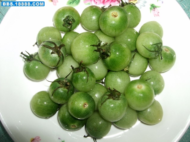 DSCF8623.jpg