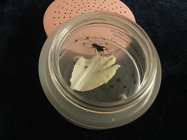 DSCF2458.JPG