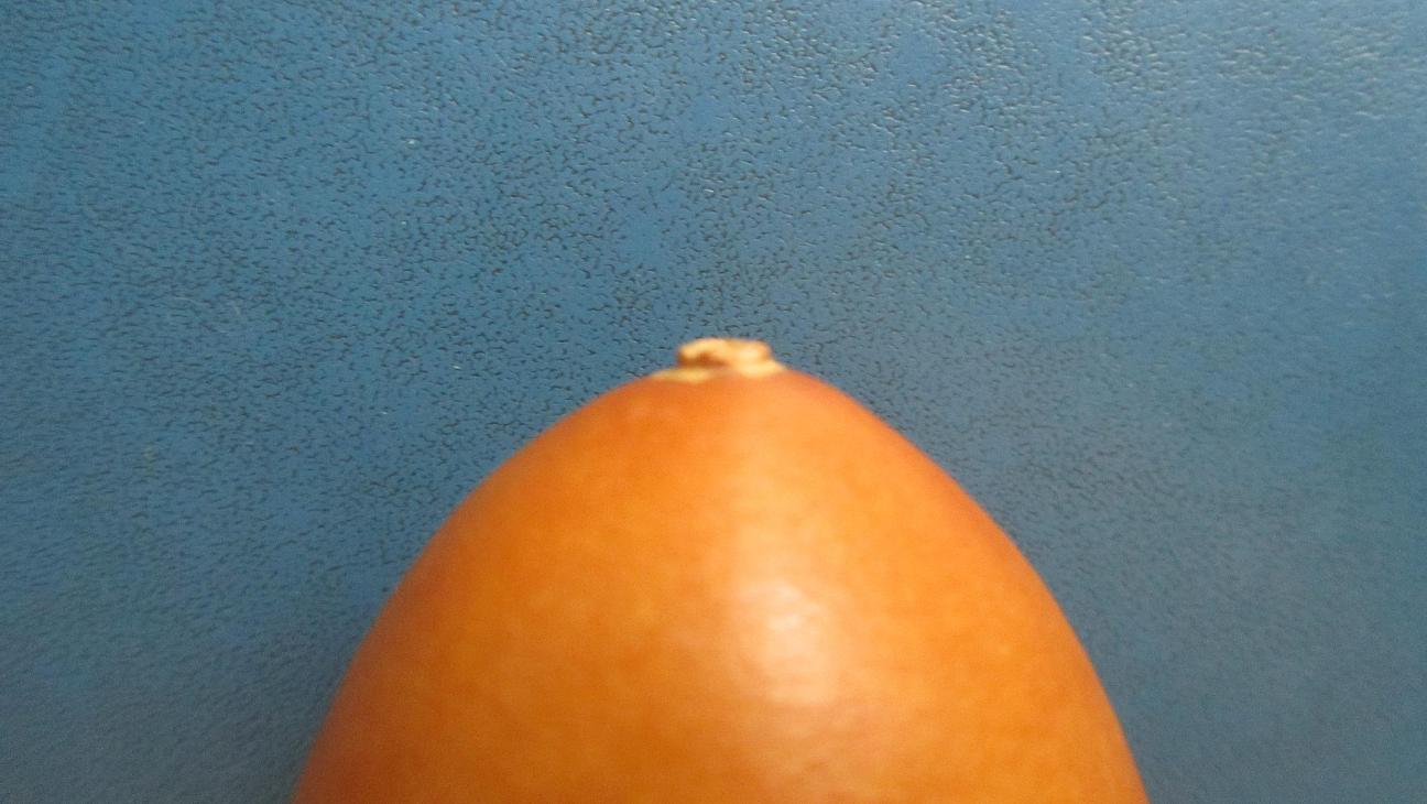 照片 013.JPG