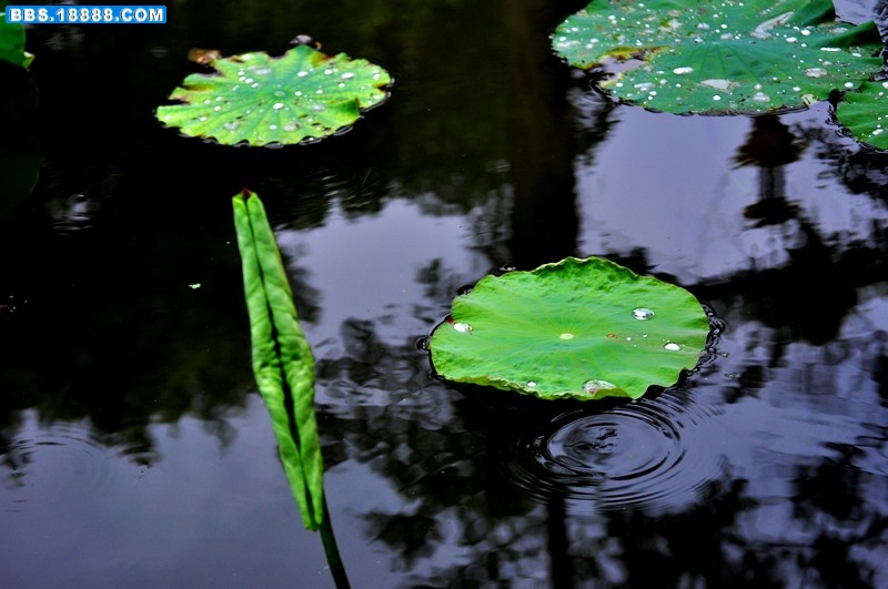 DSC_0147.JPG