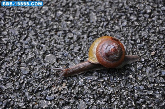 DSC_0113.JPG