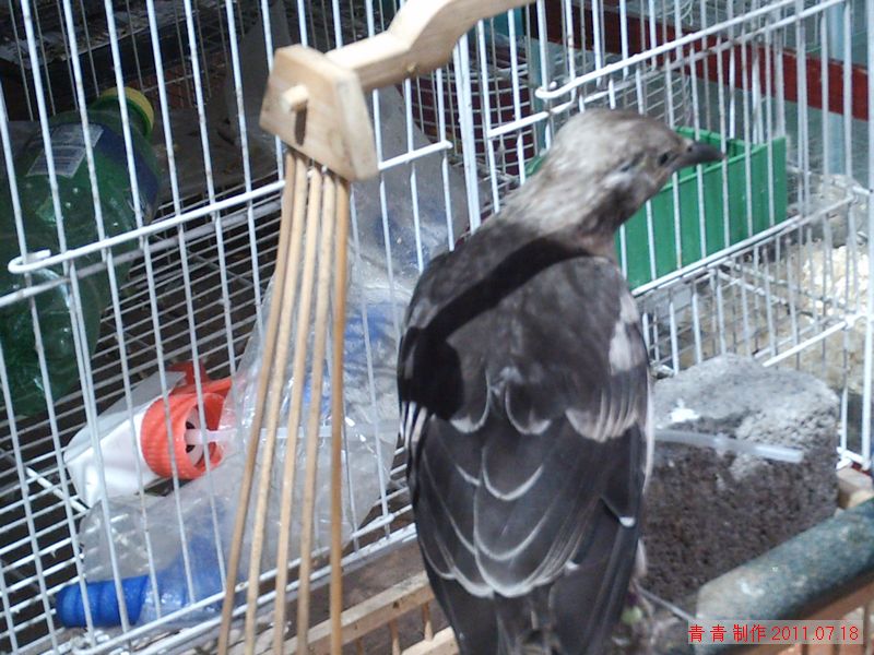 nEO_IMG_PICT4593.jpg