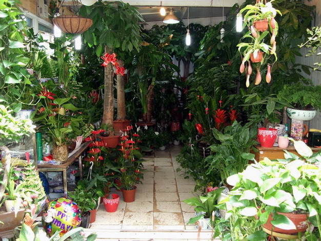 DSCF7948.jpg