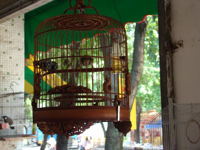 DSC08106.JPG