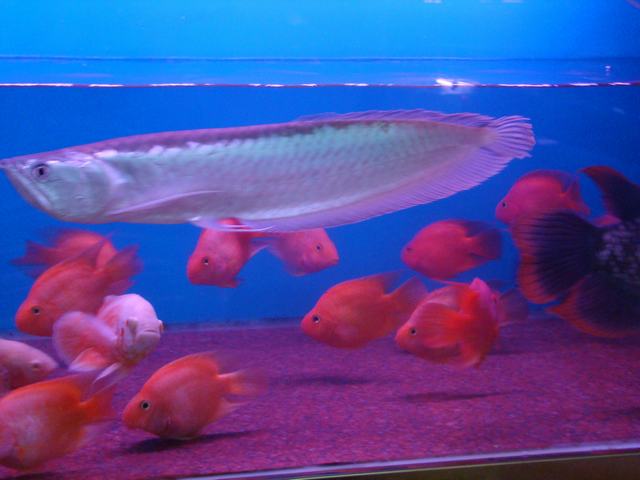 DSC08201.JPG