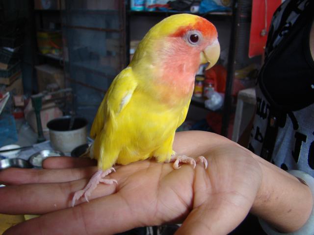 DSC08184.JPG