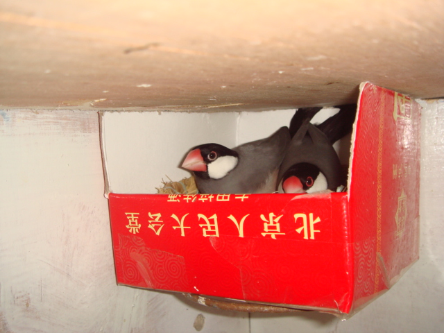 DSC04658.JPG