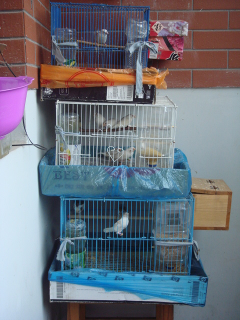 DSC04548.JPG