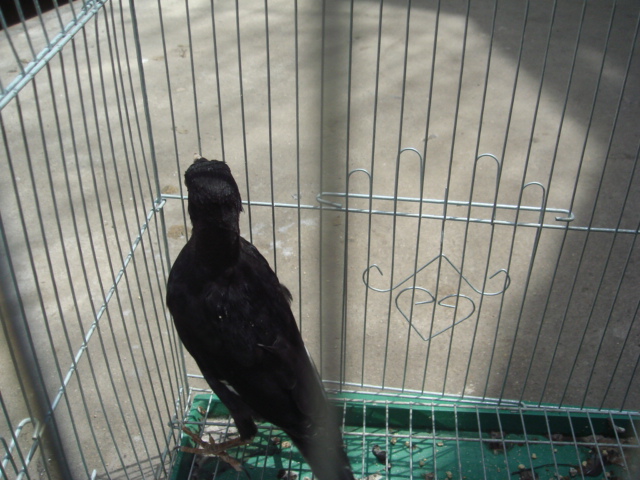 DSC04690.JPG