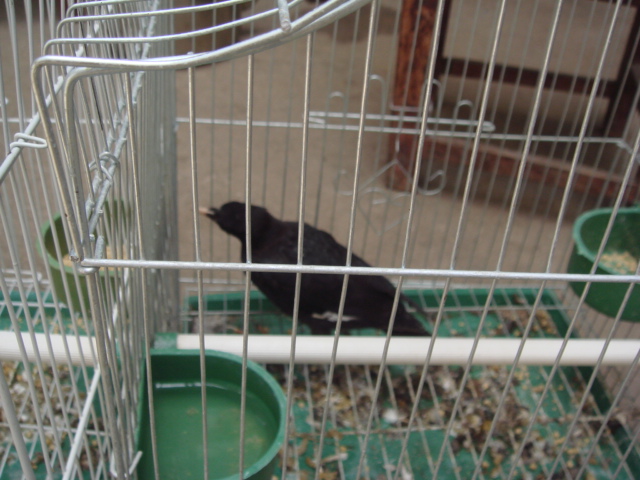 DSC04694.JPG