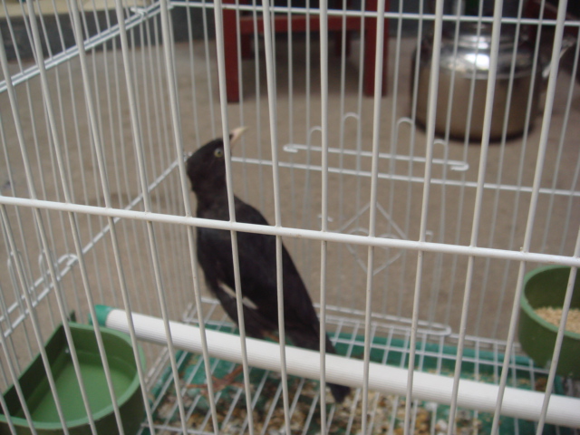 DSC04693.JPG