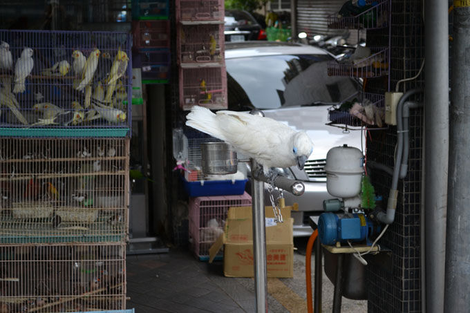 DSC_0014T022.jpg