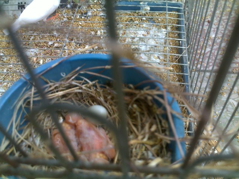 20110712099.jpg