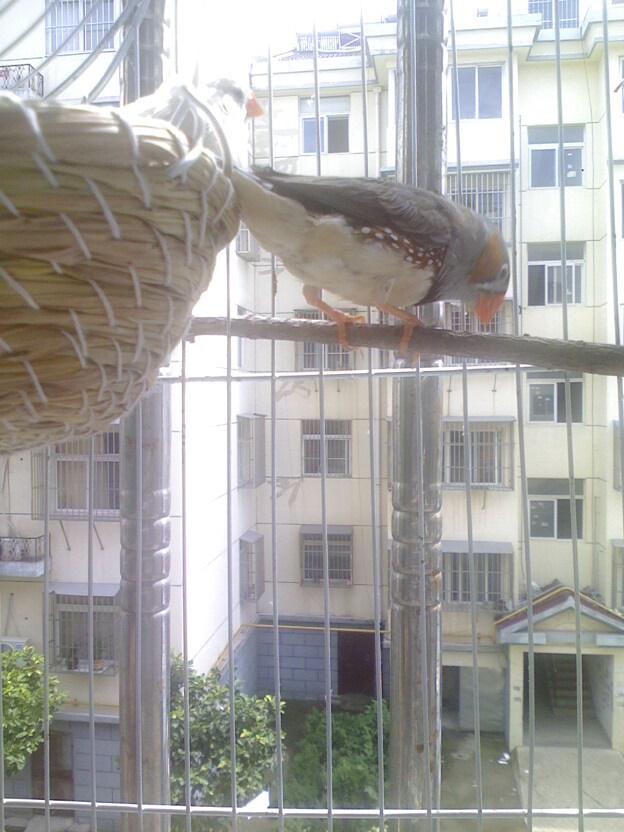 IMG0727135600.jpg