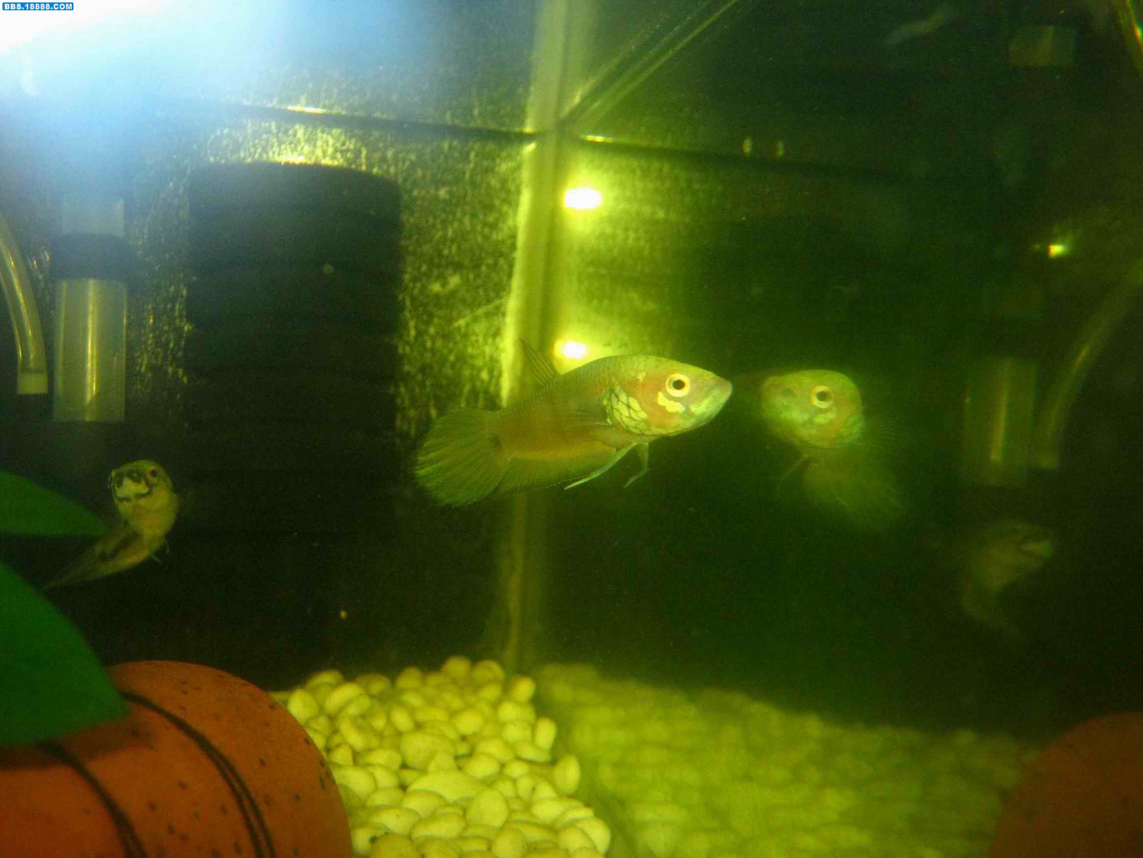 照片 071.jpg