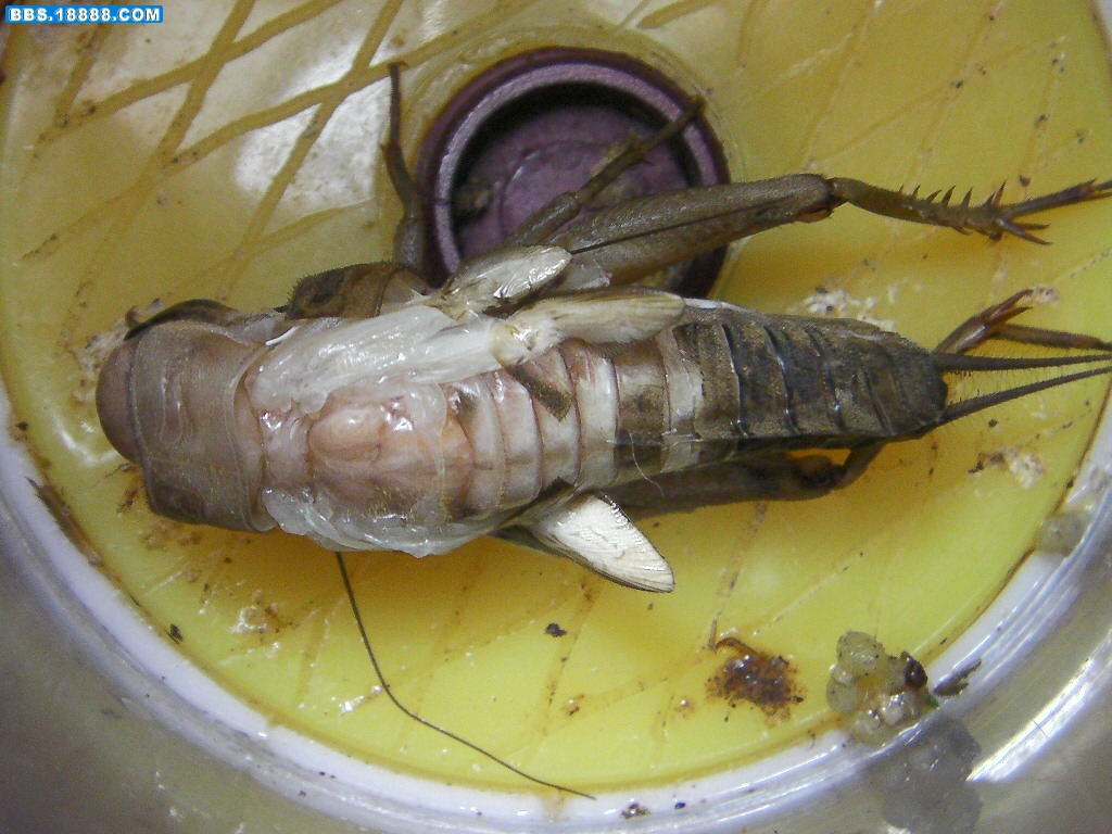 SANY3380.JPG