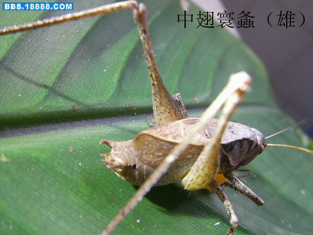 SANY3162_副本.jpg