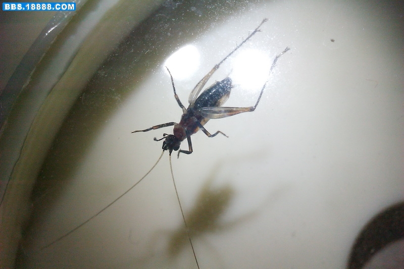 IMAG0275_调整大小.jpg