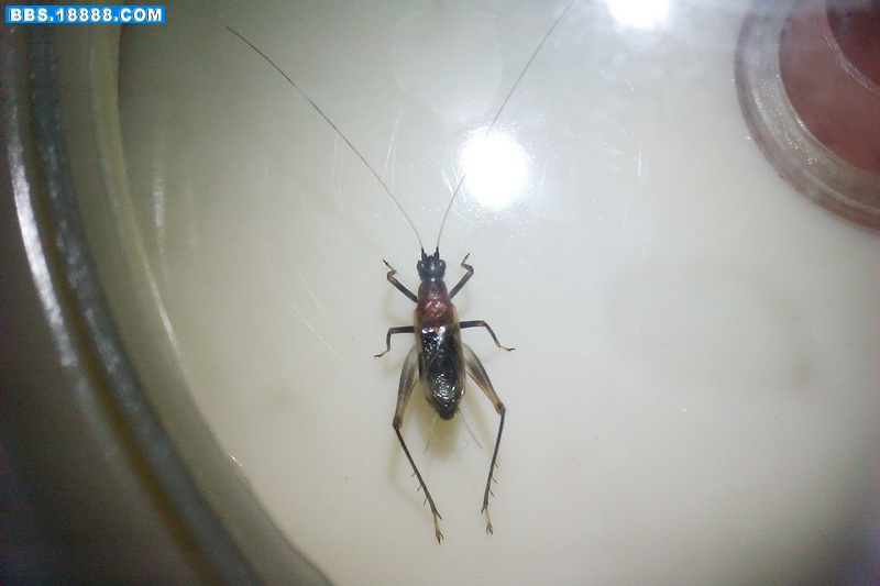 IMAG0283_调整大小.jpg