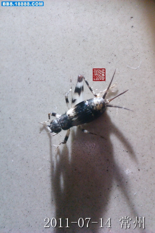 IMAG0530_调整大小.jpg