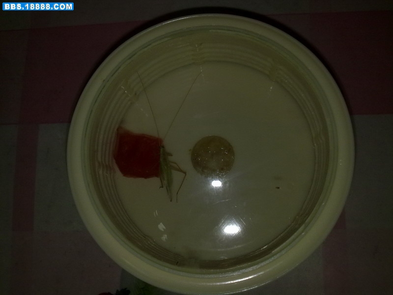 20110706090.jpg