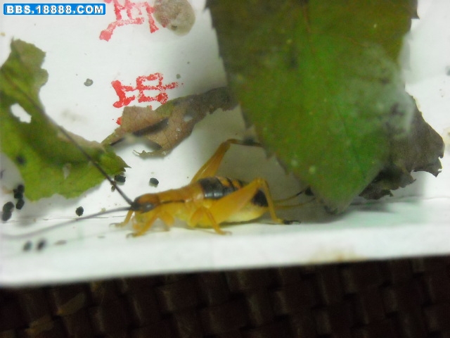 照片 830.jpg